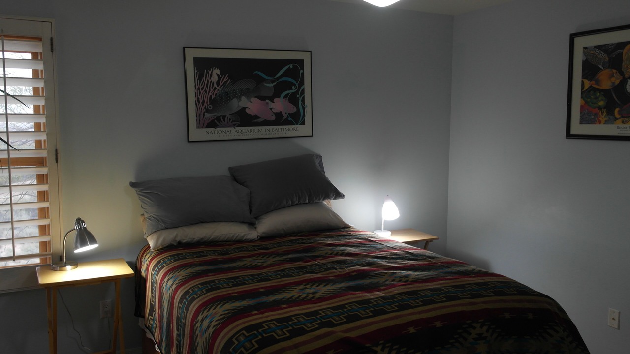 Photo of Bedroom in Pinnacle Peak