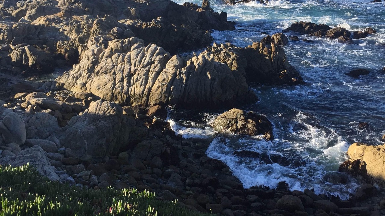 Photo of Outdoor in Northeast Carmel