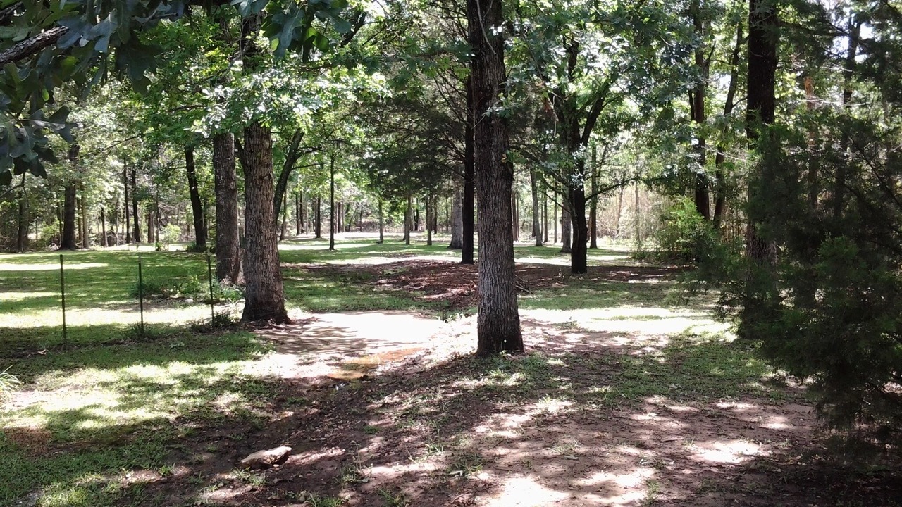 Photo of Outdoor in Bronson
