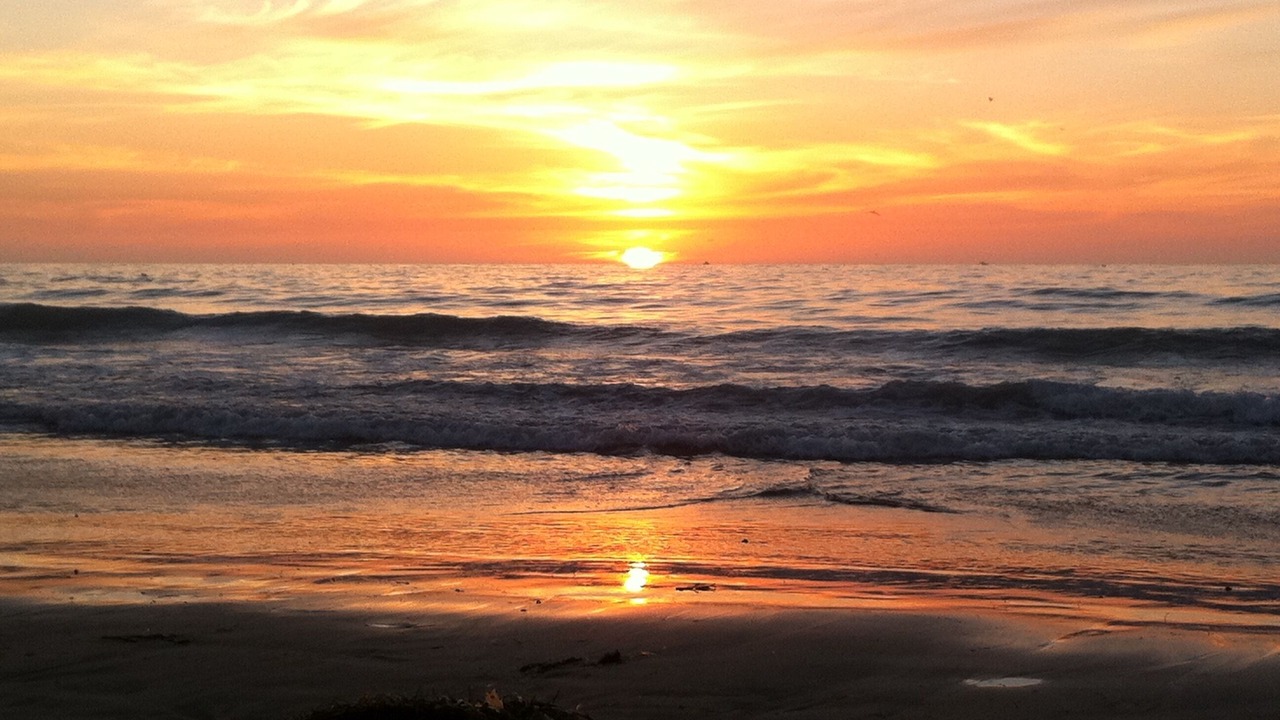 Photo of Others in Beach Barber Tract