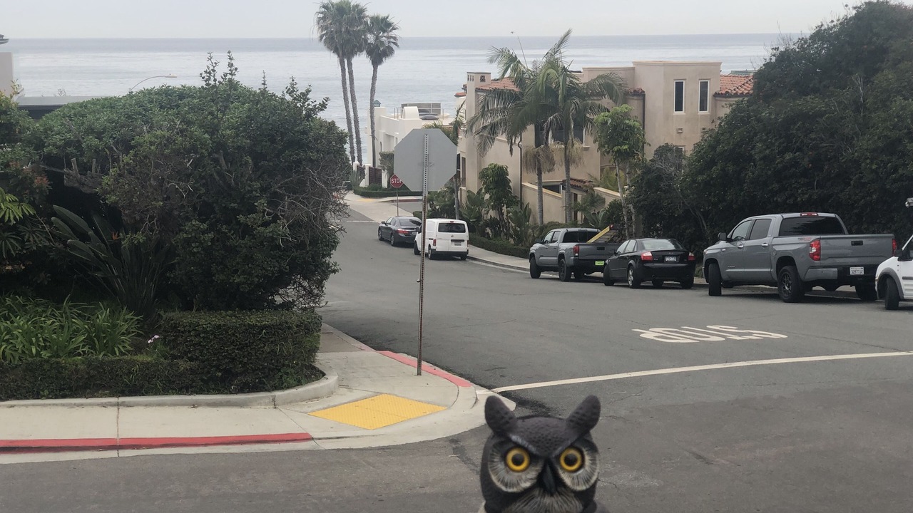 Photo of Others in Beach Barber Tract