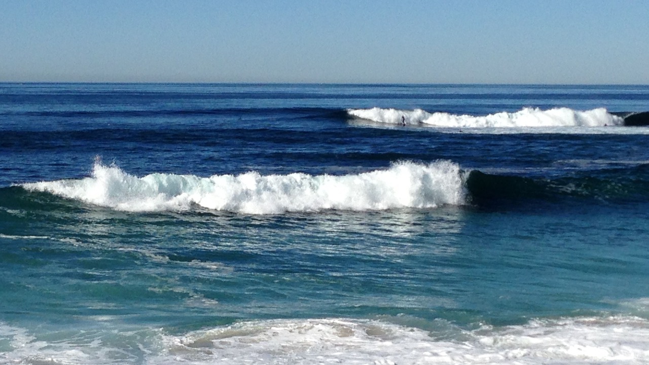 Photo of Others in Beach Barber Tract