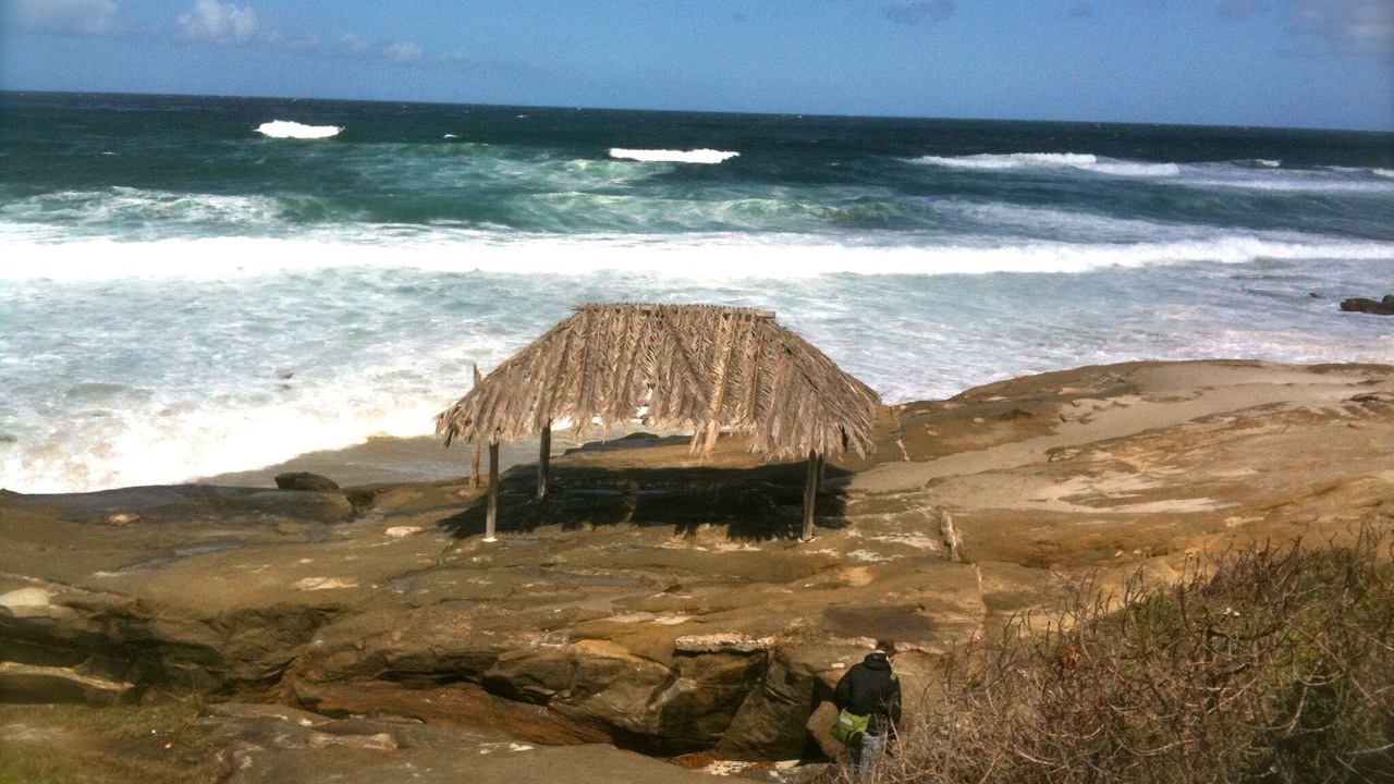 Photo of Others in Beach Barber Tract