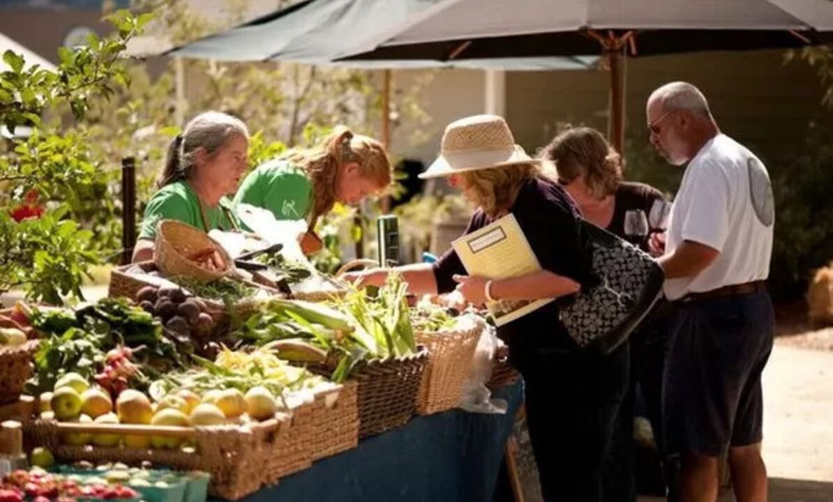 Photo of Others in St. Helena