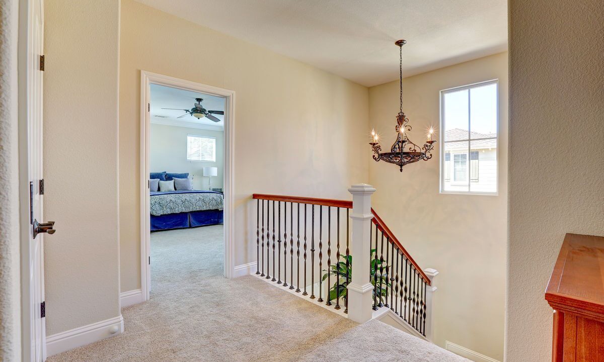 Photo of Others in St. Helena