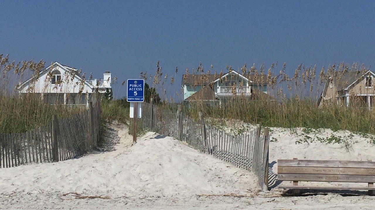 Photo of Others in Shell Island