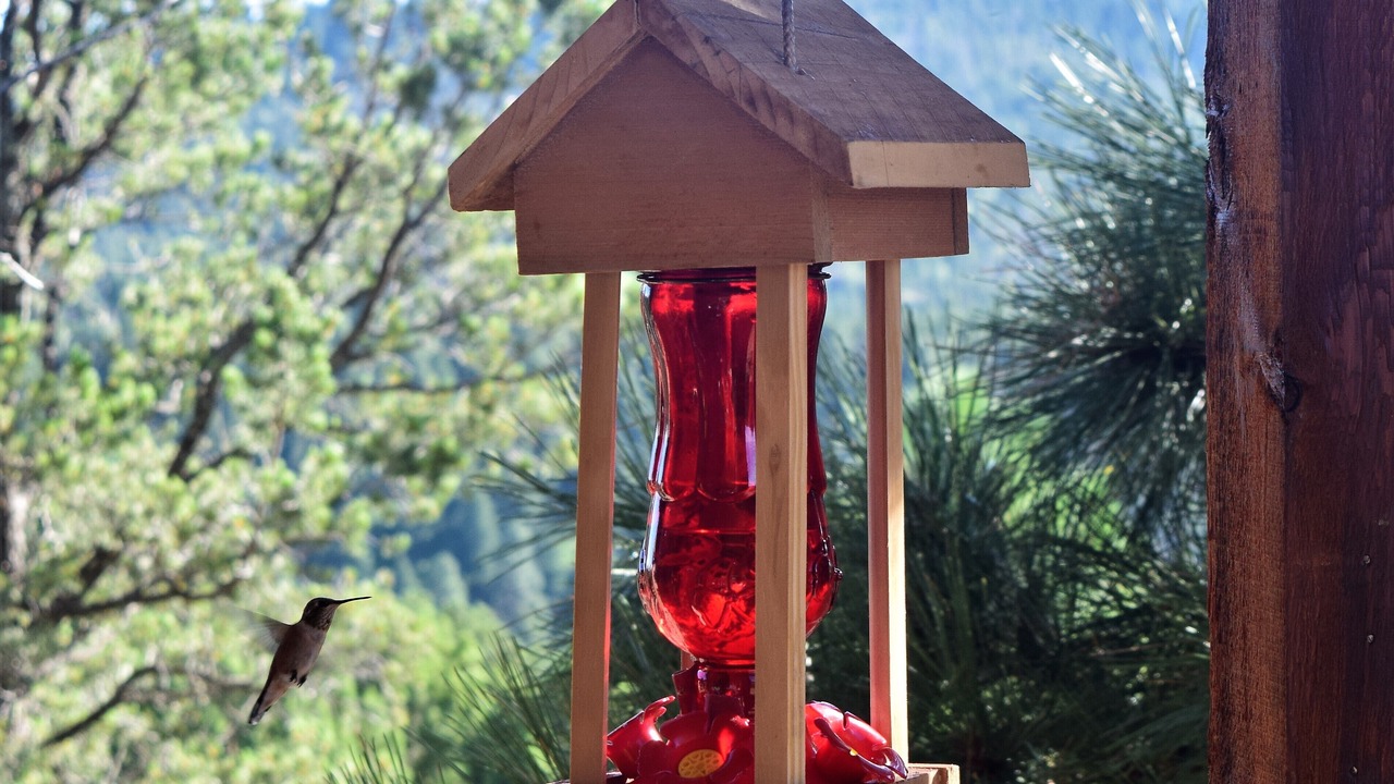 Photo of Others in Ruidoso