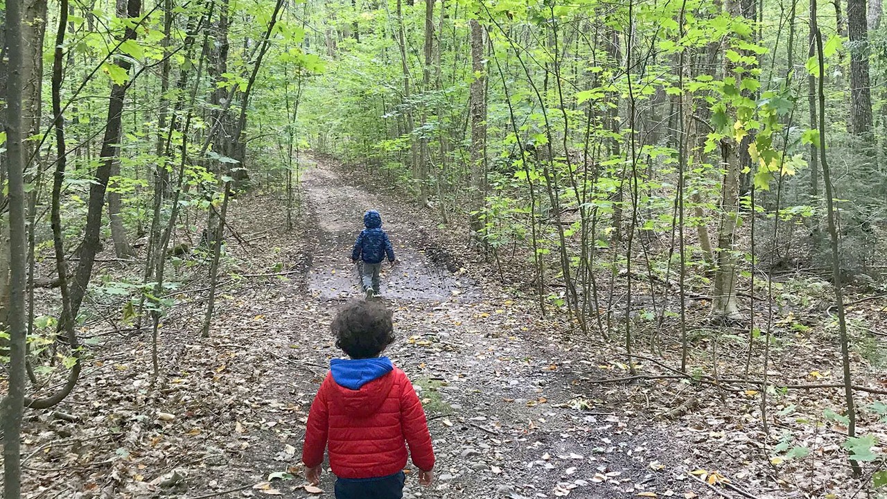 Photo of Others in Lake of Bays