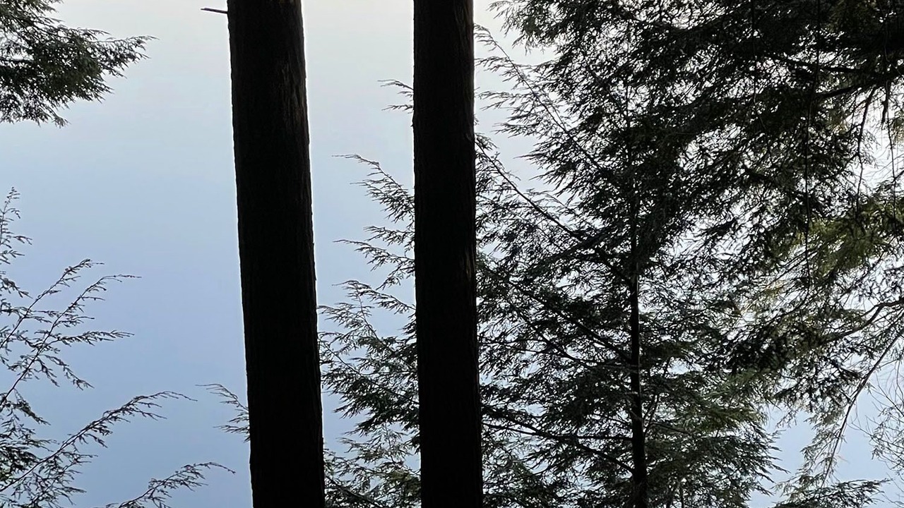 Photo of Outdoor in Lake of Bays