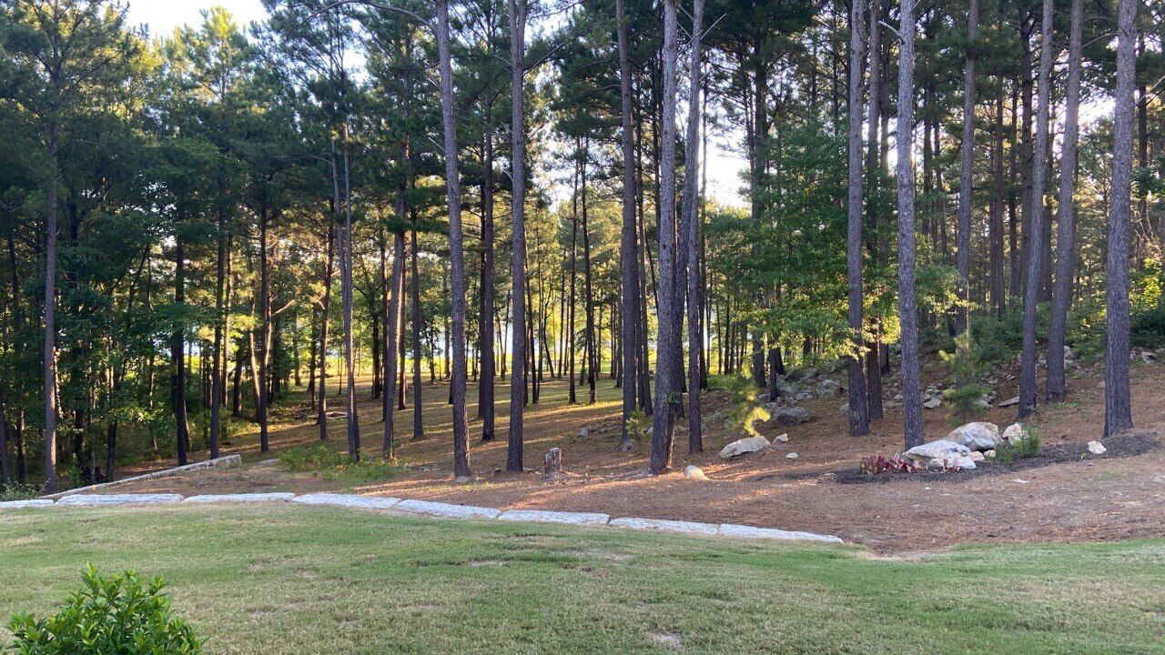 Photo of Outdoor in Broaddus
