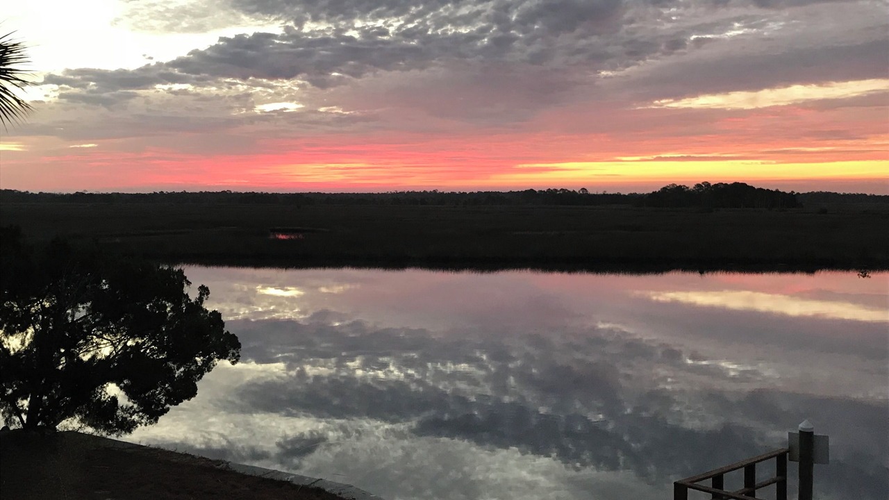 Photo of Others in Crystal River