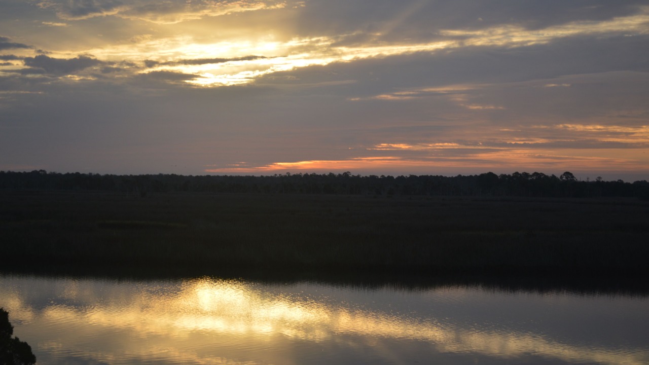 Photo of Others in Crystal River