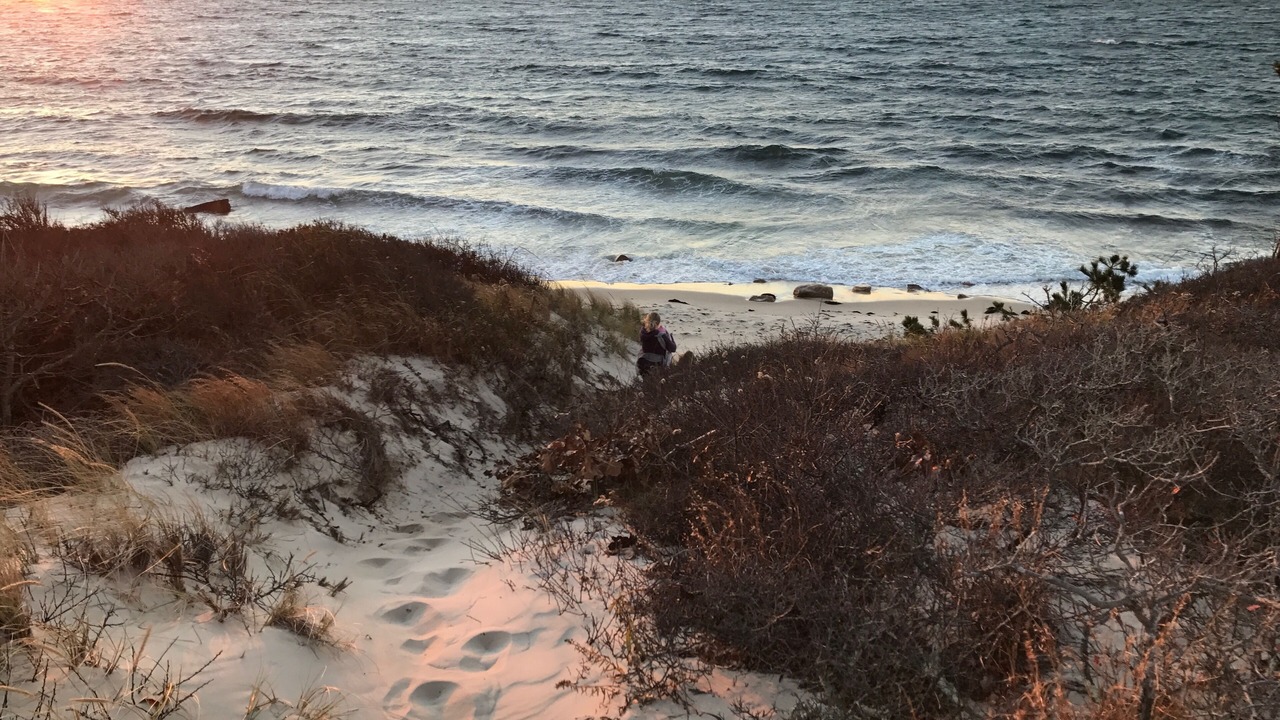 Photo of Others in West Tisbury