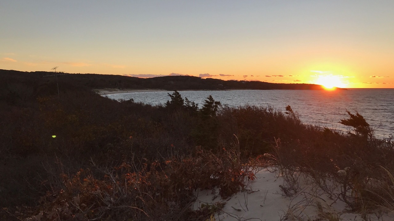 Photo of Others in West Tisbury