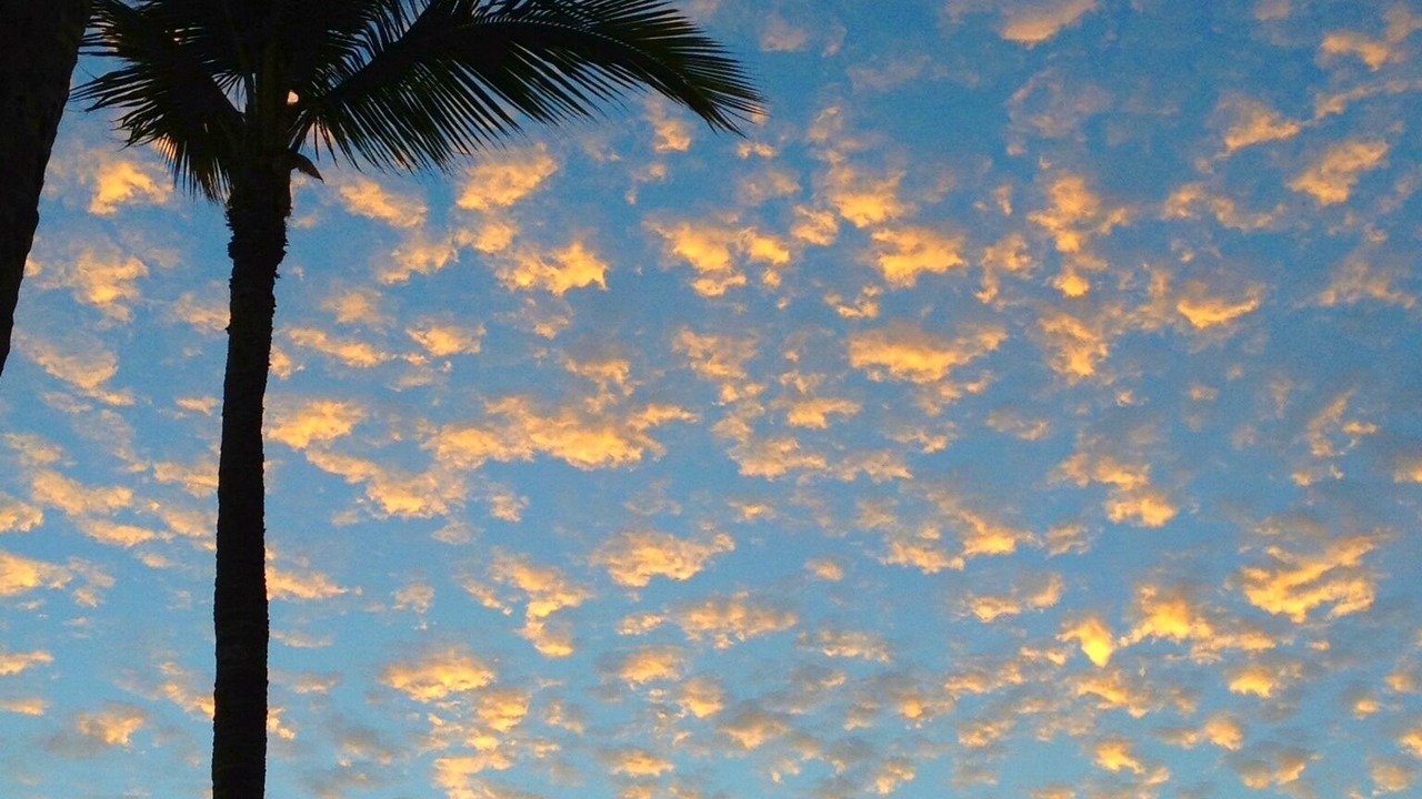 Photo of Others in Makaha