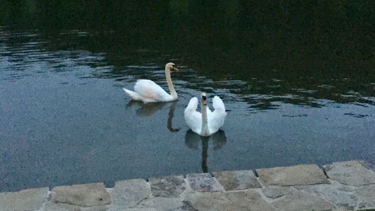 Photo of Others in Sleepy Hollow