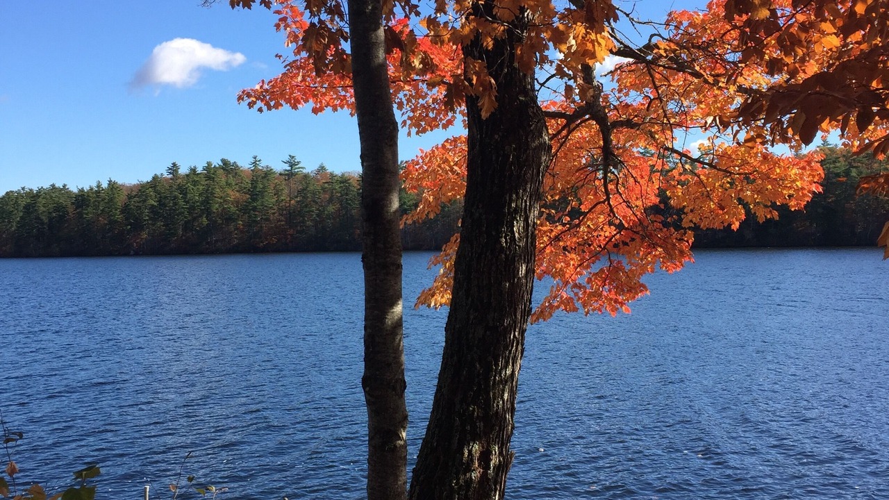 Photo of Outdoor in Raymond