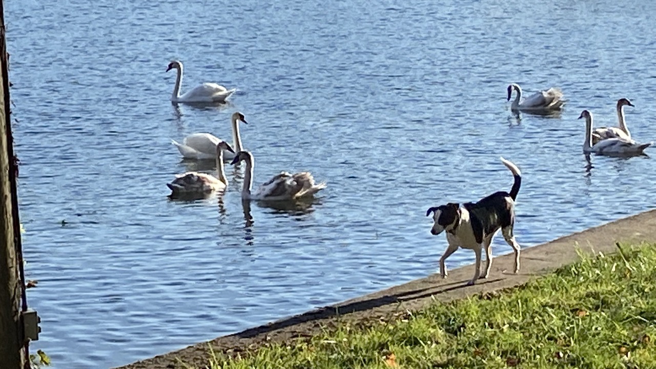 Photo of Outdoor in Fair Haven