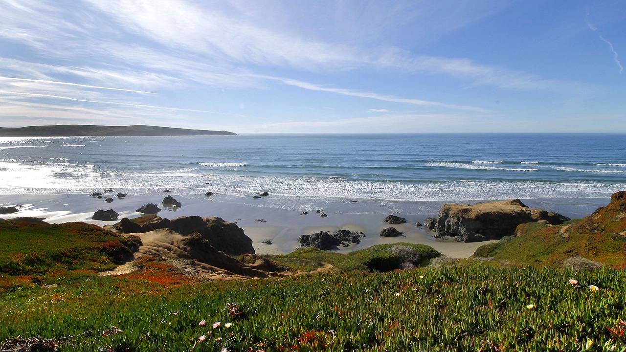 Photo of Others in Dillon Beach