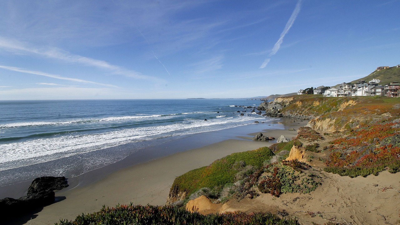 Photo of Others in Dillon Beach
