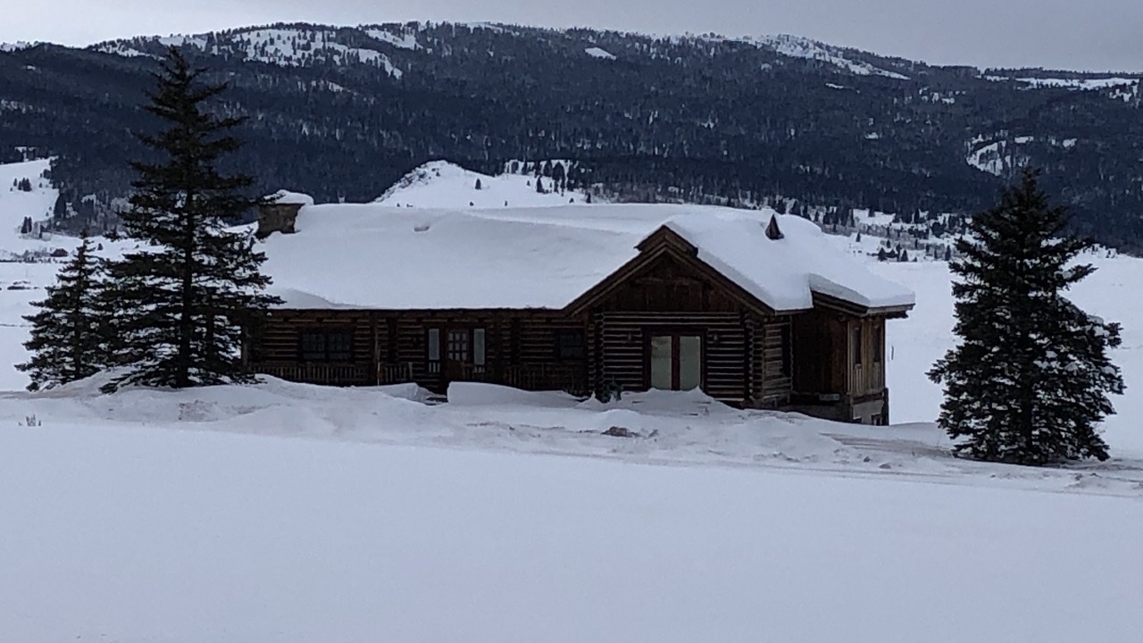 Photo of Outdoor in Island Park