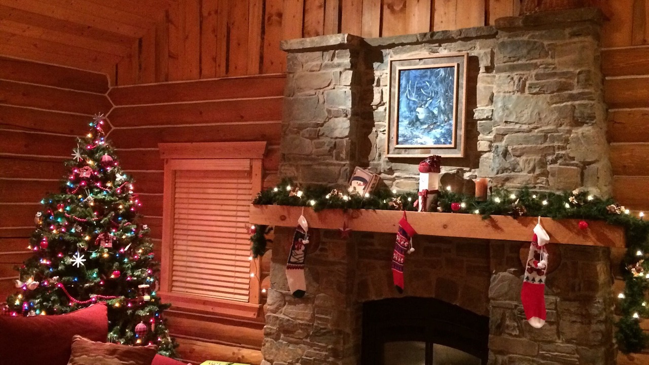 Photo of Others in Island Park