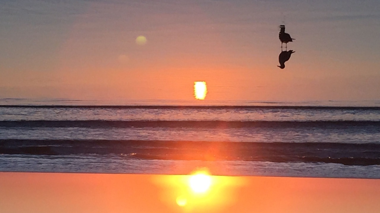 Photo of Others in Stinson Beach