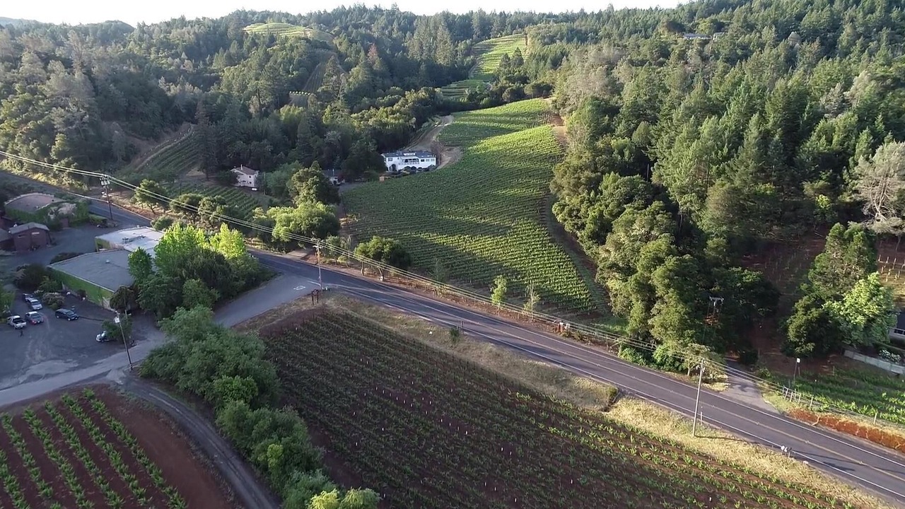Photo of Others in Geyserville