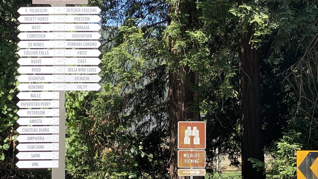 Photo of Outdoor in Geyserville