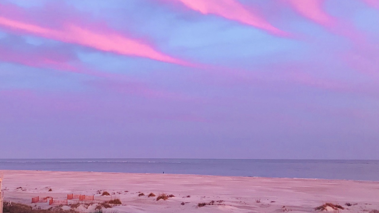 Photo of Others in Isle of Palms