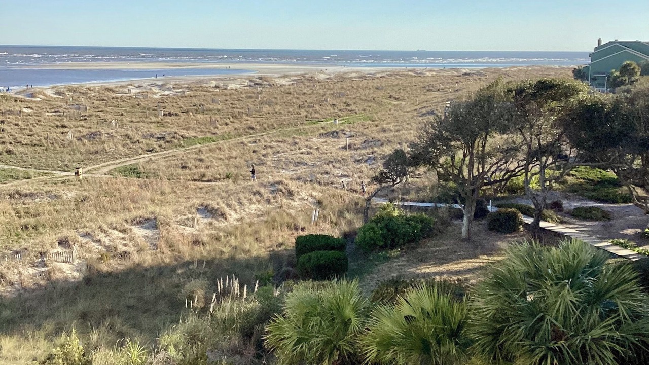 Photo of Others in Isle of Palms