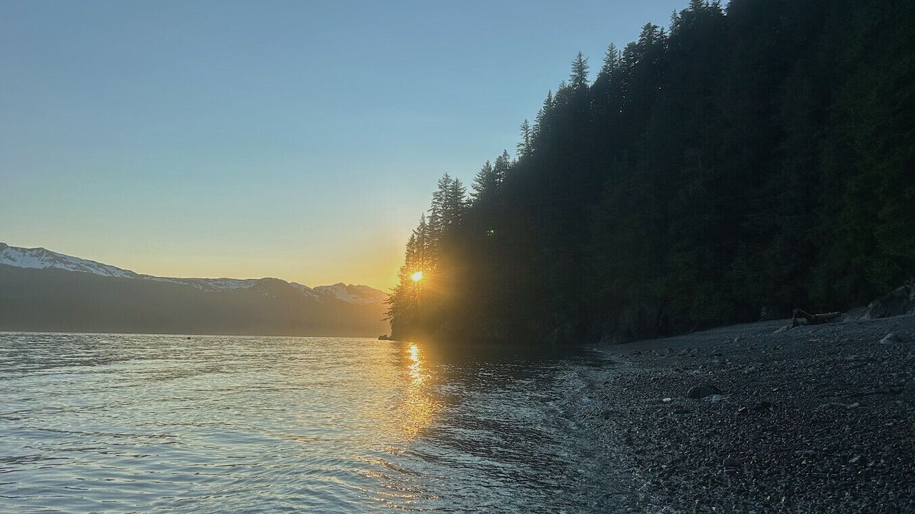 Photo of Others in Seward