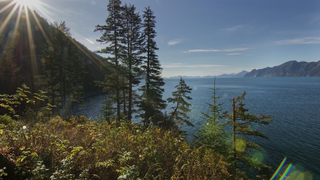 Photo of Others in Seward