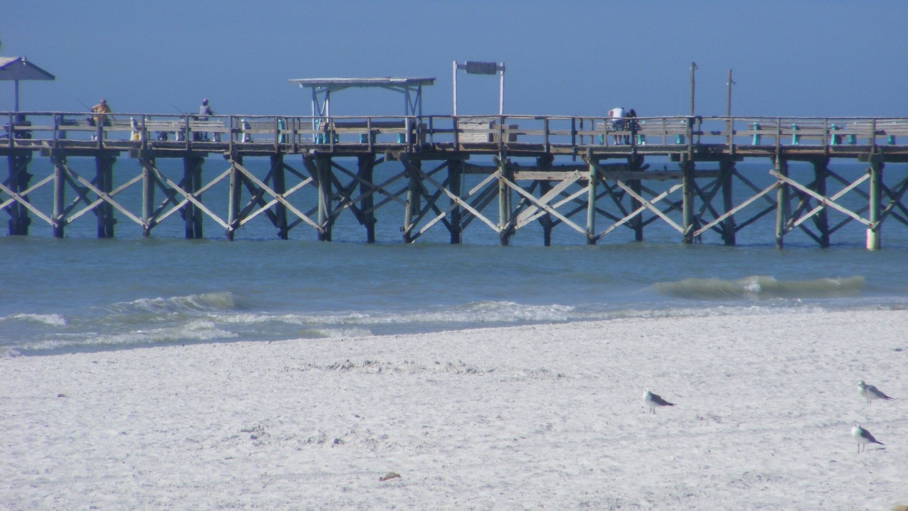 Photo of Others in North Redington Beach