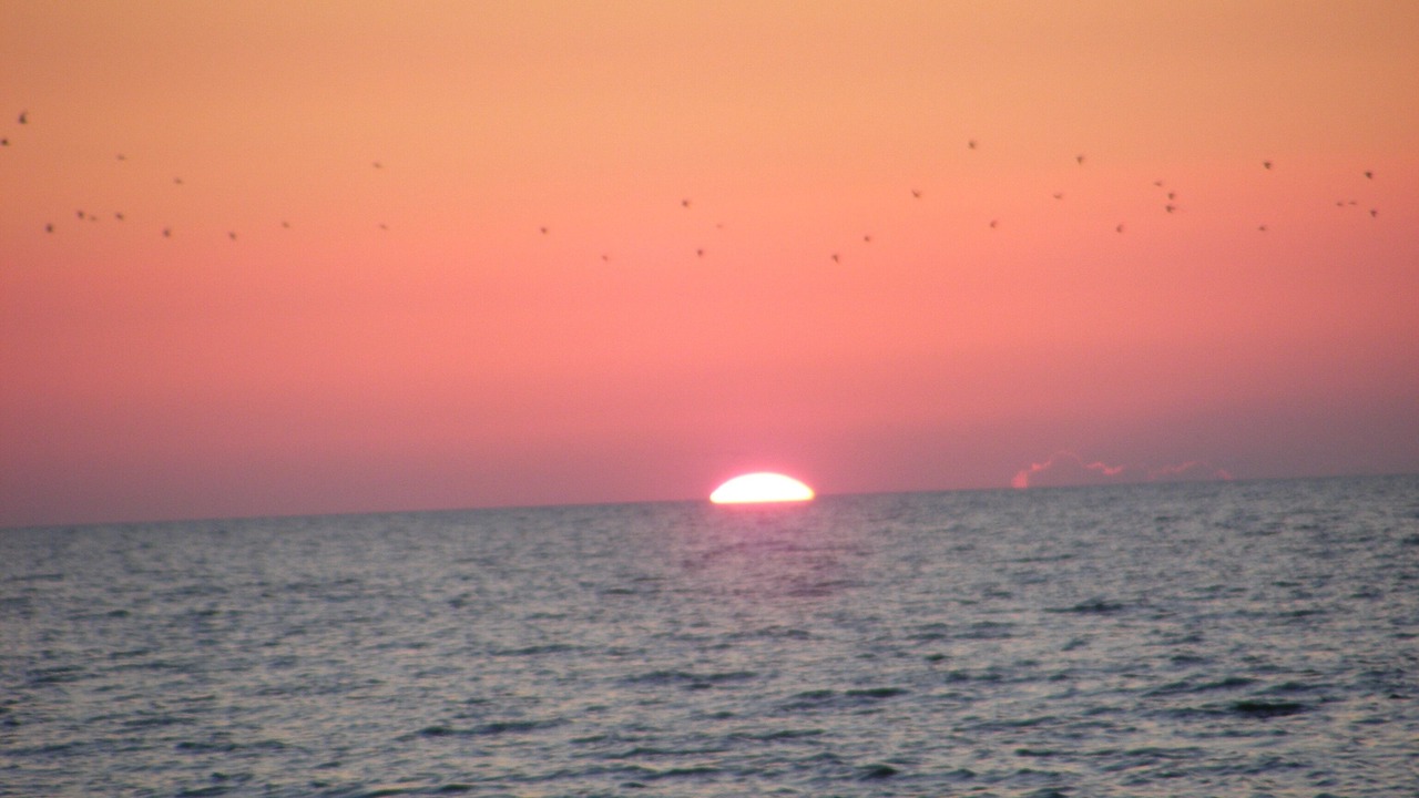 Photo of Others in North Redington Beach