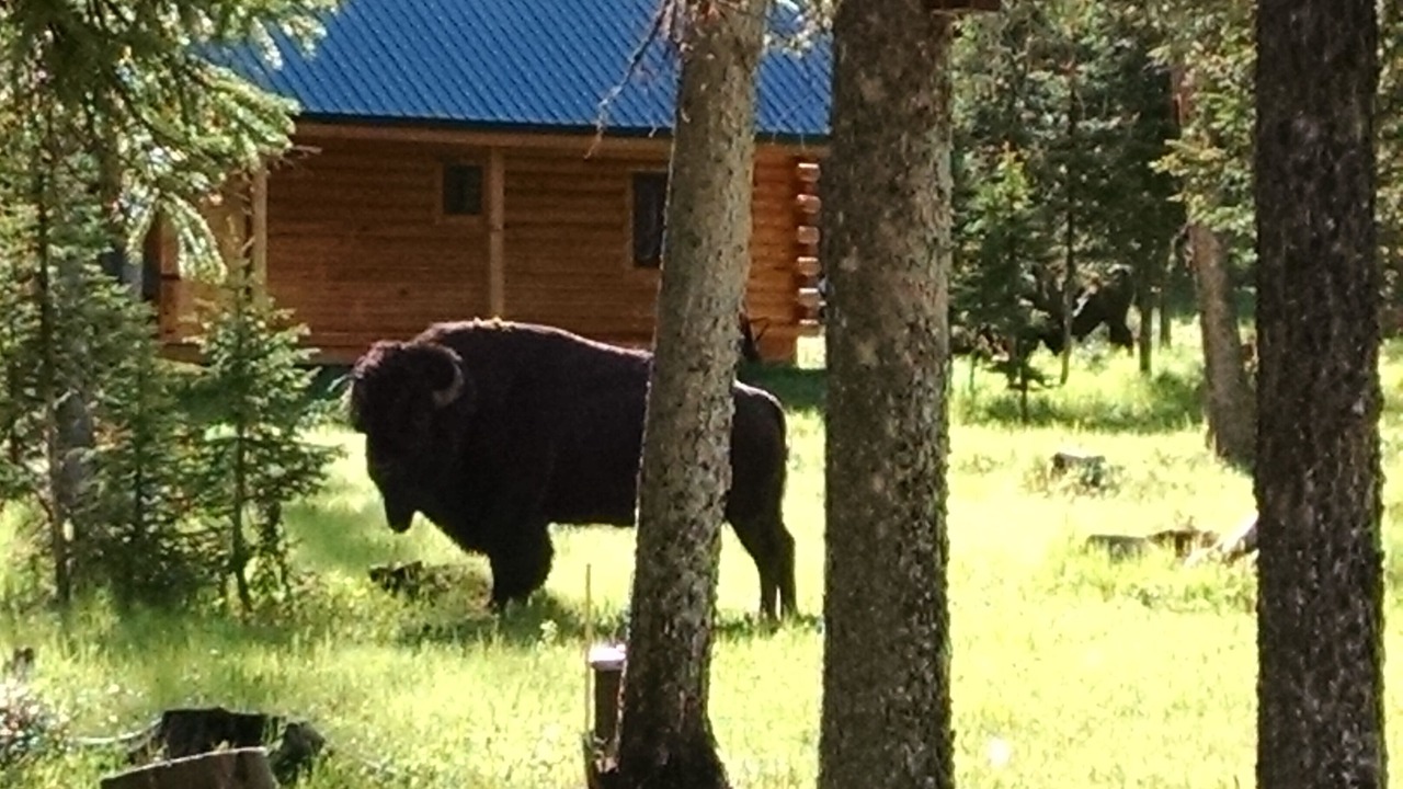 Photo of Outdoor in Cooke City-Silver Gate