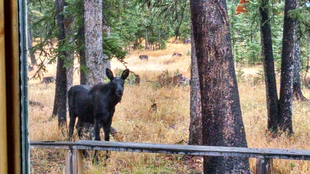 Photo of Others in Cooke City-Silver Gate