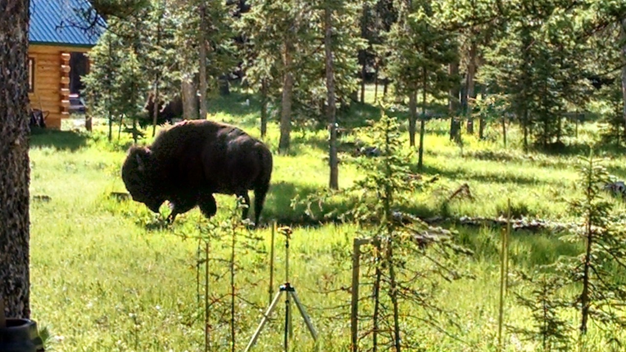 Photo of Outdoor in Cooke City-Silver Gate