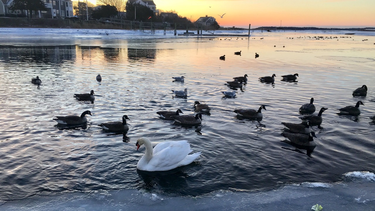 Photo of Others in West Yarmouth