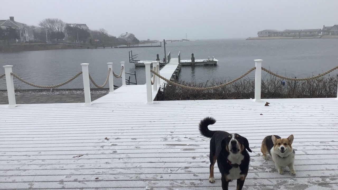 Photo of Outdoor in West Yarmouth