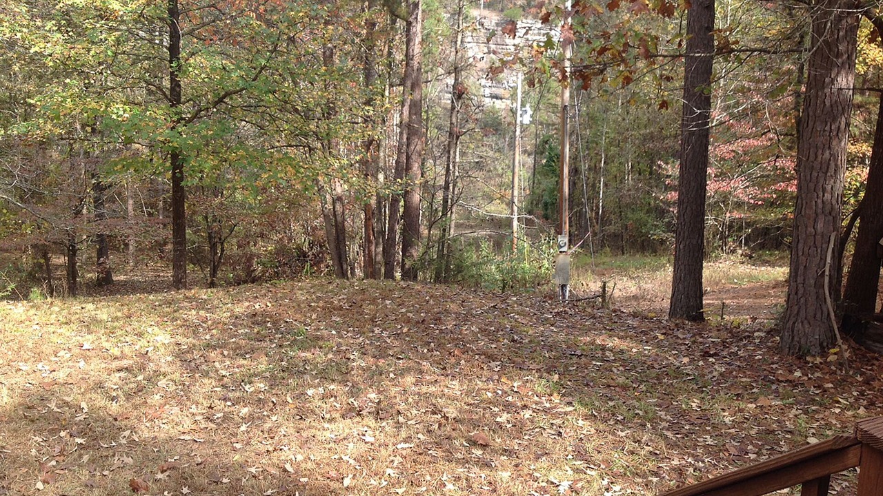 Photo of Others in Boswell