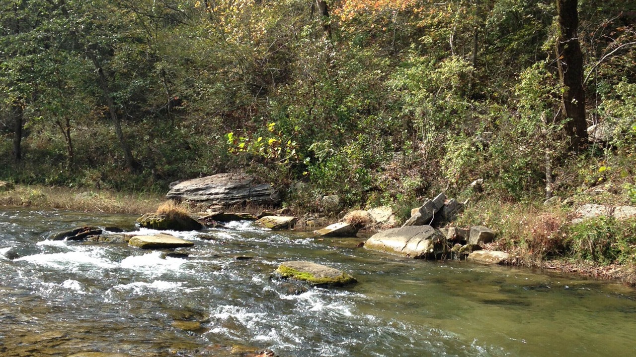 Photo of Others in Boswell