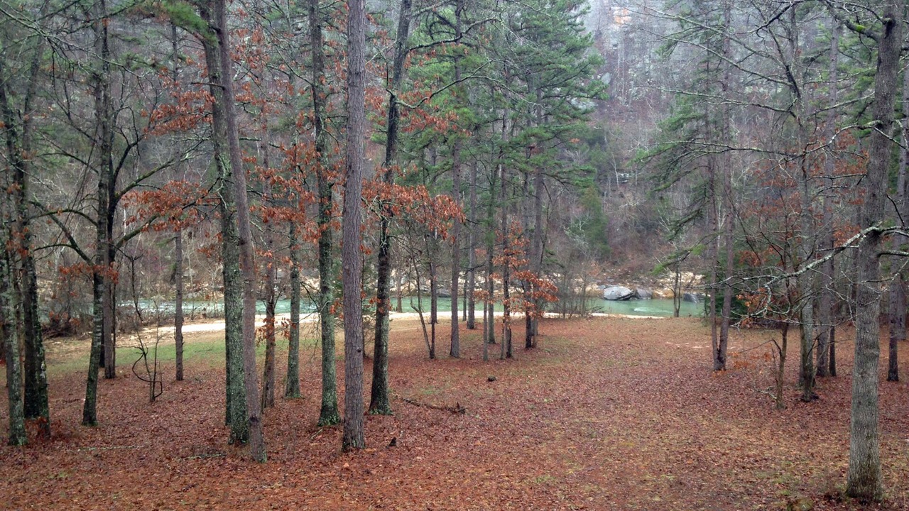 Photo of Others in Boswell