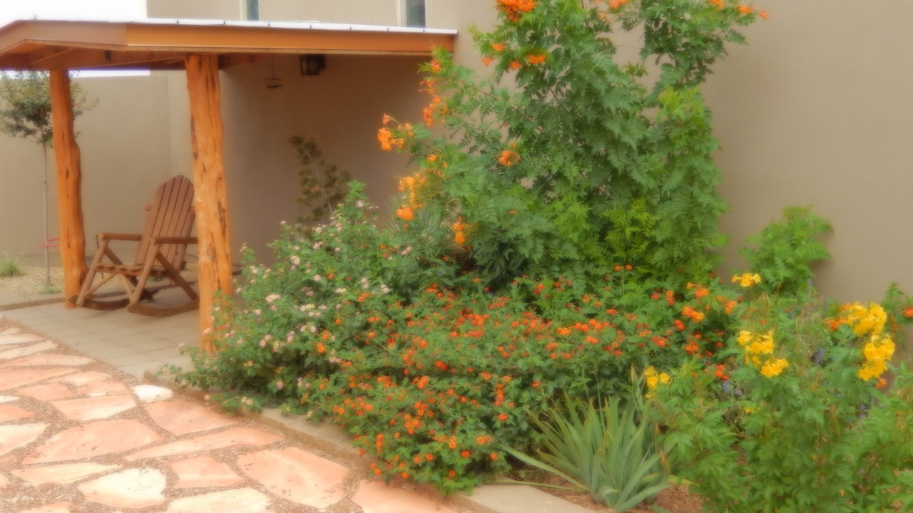 Photo of Outdoor in Marfa