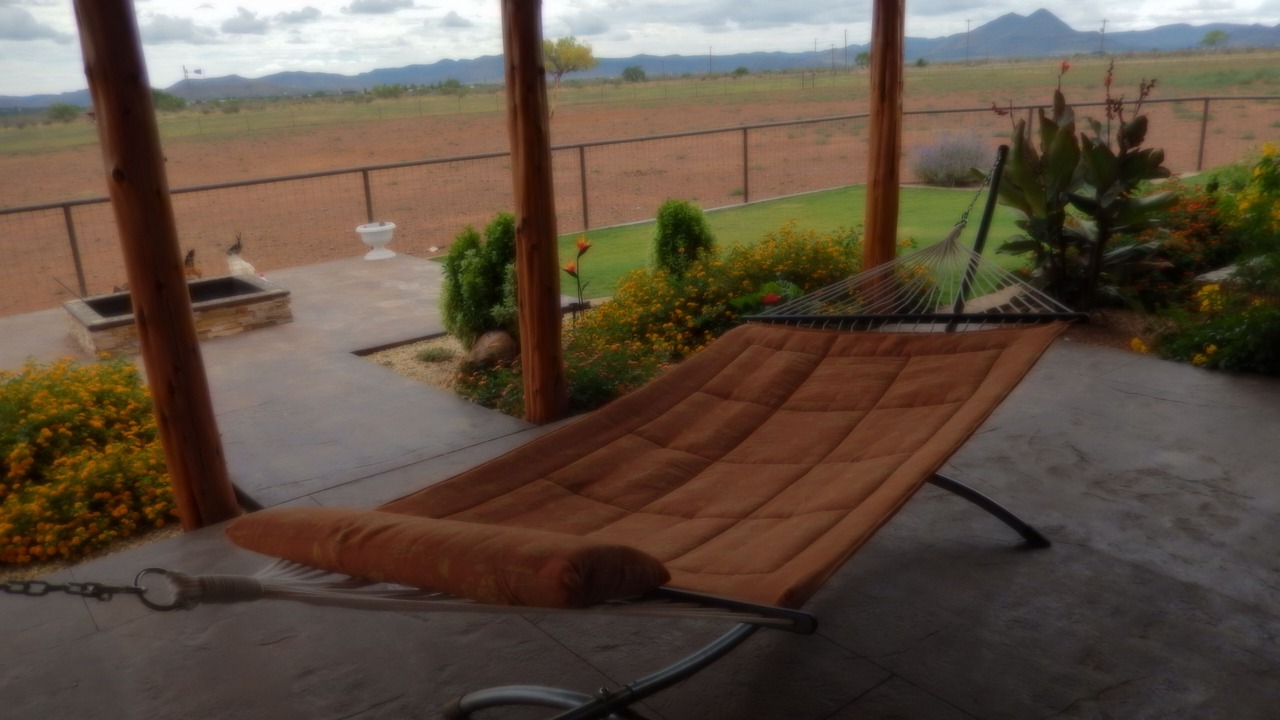 Photo of Others in Marfa