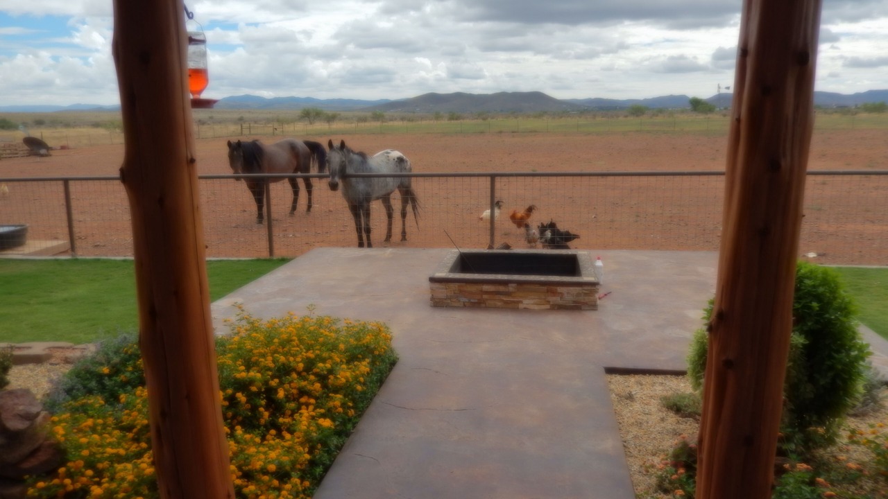 Photo of Others in Marfa