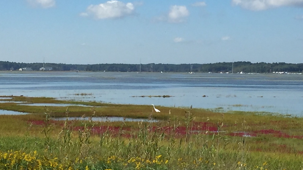 Photo of Others in Hampton