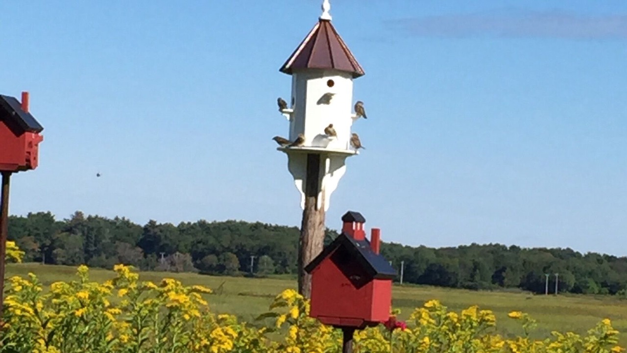 Photo of Others in Hampton