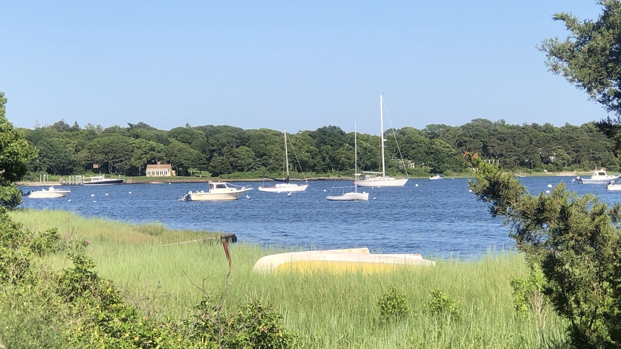 Photo of Others in Cotuit
