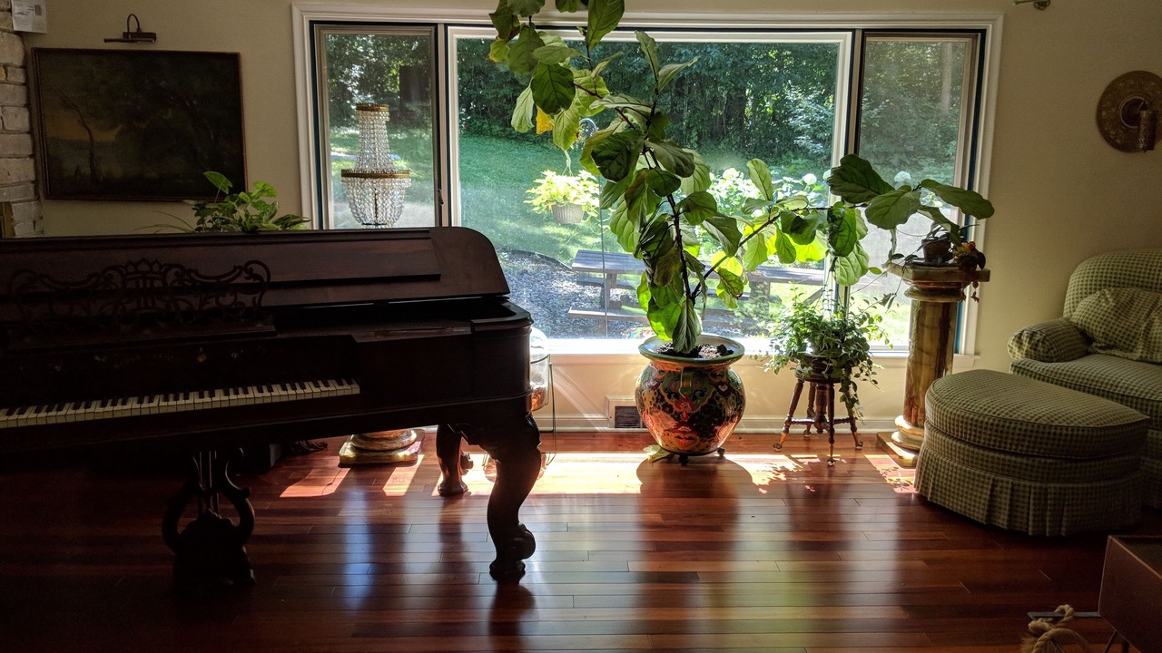 Photo of Livingroom in Minnetonka